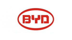 Toden Partners: BYD